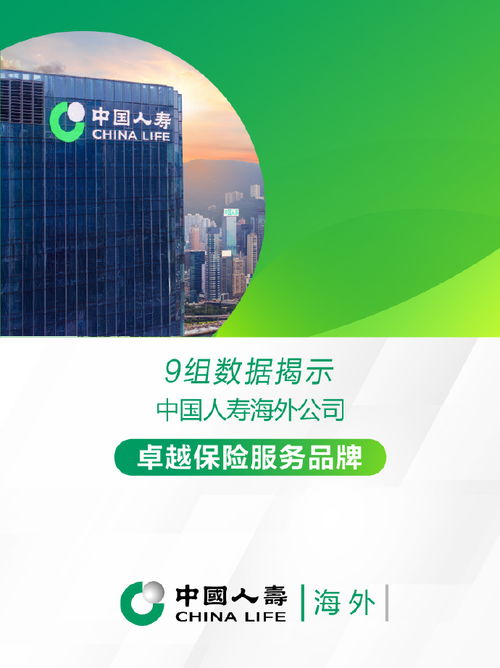 國壽海外公司 踐行“333戰略”，守護社會經濟咨詢